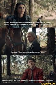 But Then Again Witchers Are Bound To Bump Into Monsters A Ifunny In 2020 The Witcher The Witcher Geralt Best New Shows