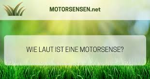 Wie Laut Sind Motorsensen Freischneider Und Rasentrimmer Motorsensen