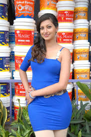 Hamsa Nandini Spicy Images
