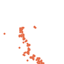 Image result for Turraea mombassana