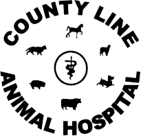 Photos, address, and phone number, opening hours, photos, and user reviews on yandex.maps. Veterinarian In Adkins Tx County Line Animal Hospital