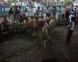 Kemenag tetapkan hari raya idul adha tanggal 22 agustus 2018 tanggal lebaran haji idul adha 2015 lebaran idul fitri 2019 tanggal berapa nusagates idul adha Iduladha Wikipedia Bahasa Indonesia Ensiklopedia Bebas