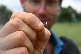 Jon Sullivan: "When I was out for my weekly r…"