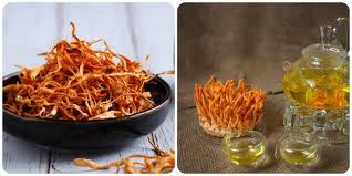 Không phải ai cũng rõ công dụng của đông trùng hạ thảo, đông trùng hạ thảo  chữa bệnh gì?