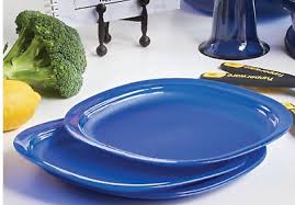 This internal heat in the dish help the water on it evaporate. Tupperware Microwave Safe Luncheon Dinner Plates 4 Pc Set 9 5 Tokyo Blue New 27 50 Picclick