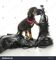 169 Boot Licking Images, Stock Photos & Vectors | Shutterstock