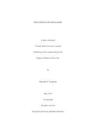 Https Etd Ohiolink Edu Apexprod Rws Etd Send File Send Accession Kent1397818803 Disposition Inline
