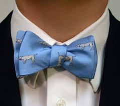 The Georgia Light Blue Bow Tie Over Under Clothing