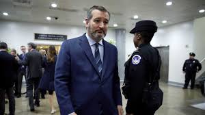American Airlines Investigating After Ted Cruz Spotted Flying Without Mask Ted cruz news from united press international.