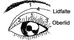 Wie schminke ich smokey eyes? Schminktipps Make Up Tipps Schminken Einfach Erklart
