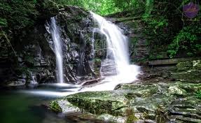 Bach Ma National Park Vietnam - Hoi An Private Taxi