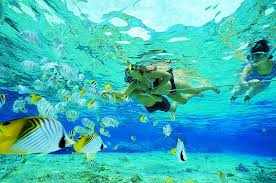 snorkeling cape vidal south africa where to snorkel