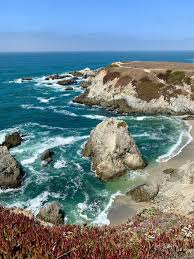 Maybe you would like to learn more about one of these? Hiking California S Beautiful Bodega Head Trail One Girl Whole World