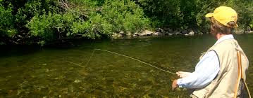 Check spelling or type a new query. The Avid Angler Fly Fishing Shop Seattle Wa Fishing Conditions Water Profiles Rivers Snoqualmie River