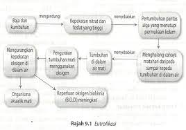 Tidak dapat dinafikan lagi bahawa kekurangan didikan agama merupakan punca utama dalam masalah pembuangan bayi ini. Punca Pencemaran Seronoknya Biologi