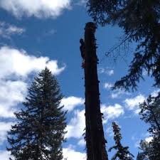 Do you have questions about finding other single family real estate for sale in evergreen? Mcgarva Tree Landscape Service 10 Photos Pest Control 6320 Kinney Creek Rd Evergreen Co Phone Number