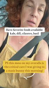 Reenies Rabbit Rescue