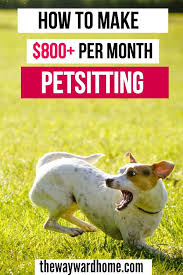 How To Get Pet Sitting Jobs And Make Over 1 000 Per Month Pet Sitting Jobs Dog Walking Business Dog Sitting