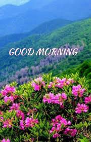 So share our good morning with mountain images to your friends, family, and give them beautiful morning wishes. Good Morning Flowers Beautiful Good Morning Picture Desicomments Com Flowers Tn Leading Flowers Magazine Daily Beautiful Flowers For All Occasions