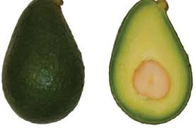 Image result for Avocado Light 1972 Montgomery Ward