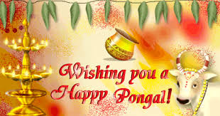 Green theme pongal greeting card. Pongal Greeting Cards Wallpapers 2020 Happy Pongal Wishes Images