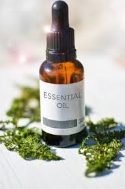 Learn how to use essential oils for back pain plus try out the diy pain relief recipe. Essential Oils For Lower Back Pain Fuse Remove Back Pain