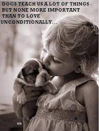 Check spelling or type a new query. 12 Cute Dog Quotes For Dog Lovers With Funny Images