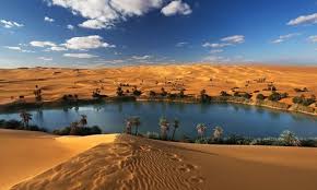 Discover more posts about oeas. Egypt Agrees To Develop Siwa Oasis With Total Cost Of Le 725m Egypttoday
