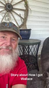 The Story of Wallace The Warthog