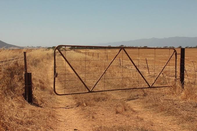 Vrystaatse boer sterf ná plaasaanval - Maroela Media