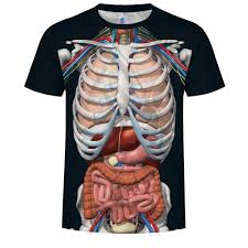 Wissenswertes über den menschlichen körper. Grosshandel 3d Druck Cosplay Mannlich Skelett Innere Organe Tshirt Harajuku Menschlicher Korper T Shirt Manner Frauen Mode T Shirt Sommer Kurzschluss Hulsen Ypf710 Von Trytrytry 5 23 Auf De Dhgate Com Dhgate