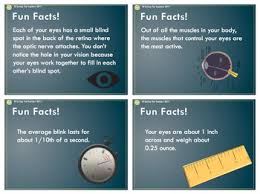 Check out these 10 fun facts about eyes from the experts at our vision clinic! Light And Sight Powerpoint The Human Eye Introduction By Saving The Teachers
