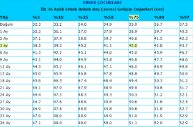38 haftalik gebelik hamileliginizin otuz sekizinci haftasi