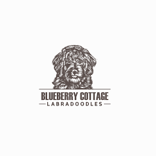Lola's pups start heading home today! Blueberry Cottage Labradoodles Logo Concursos De Logotipos 99designs