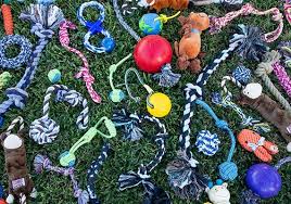 4 Best Rope Toys For All Dogs 50 Tested And Reviewed