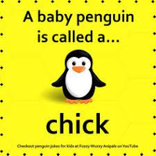 It can be quite a daunting task to teach your kids about animals. 51 Animal Facts For Kids Ideas Animal Facts For Kids Animal Facts Facts For Kids