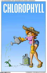 Chlorophyll comic porn | HD Porn Comics