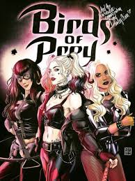 Birds Of Prey Credits Scene Pin On Dc Comics
