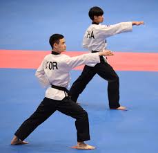 태권도 전문 인터넷신문, 대회정보, 칼럼, 정치, 경제, 사회 등 분야별 뉴스 제공. íƒœê¶Œë„ íƒœê¶Œë„ í'ˆìƒˆ ì›ë¦¬ ì´ ì •ë¦¬