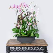 As director of human resources, gina trinidad oversees the human resources management functions at all tarzana treatment center facilities and manages the human resources needs of over 500 employees. Flowers And Designs By Gina Tarzana Ca Florist