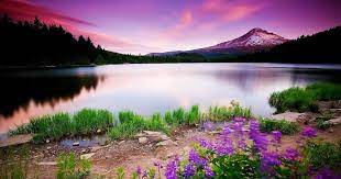 10 Nature Windows 10 Wallpaper Full Hd Windows Desktop Backgrounds Nature Windows 10 Desktop Source Nature Desktop Hd Nature Wallpapers Landscape Pictures Find your perfect nature wallpaper for your phone, desktop, website and more!