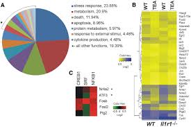 Fig 3 Coagulation Factor X Activates Innate Immunity To