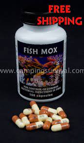 Fish Mox Amoxicillin 250mg 100 Count Fish Food Animals Antibiotic