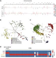Watch say i love you full episodes online enghlish sub other titler: Engineering Genetic Predisposition In Human Neuroepithelial Stem Cells Recapitulates Medulloblastoma Tumorigenesis Sciencedirect