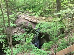 We did not find results for: Mohican State Park Lyons Falls Trail Birding In Ohio