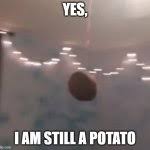 By higgyy, posted 4 years ago digital artist. A Potato Flew Around My Room Before You Came Blank Template Imgflip