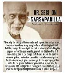 Marie Null (marienull6930)