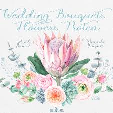 Protea flower, wedding centerpieces photos. Wedding Watercolor Bouquets Protea Flowers Roses Eucalyptus Etsy Watercolor Flowers Watercolor Bouquet Floral Watercolor