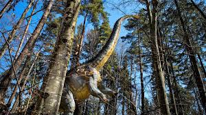 Cârciuma din bătrâni, judeţul prahova muzeul astra de la sibiu deţine şi cel mai mare centru pentru patrimoniu din românia, găzduit de o clădire modernă, de inspiraţie nordică, în care. Cel Mai Inalt Dinozaur Diplodocus La Dino Parc RaÈnov Gonext