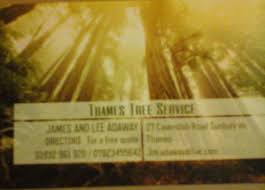 Profile for Thames Tree Services Jim and Lee Adaway